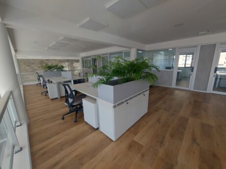 Proyecto SION