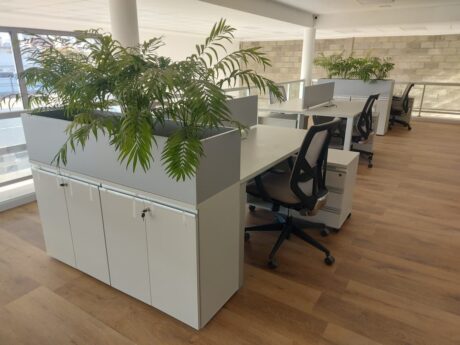 Proyecto SION