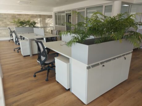 Proyecto SION