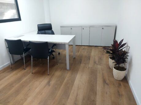 Proyecto SION